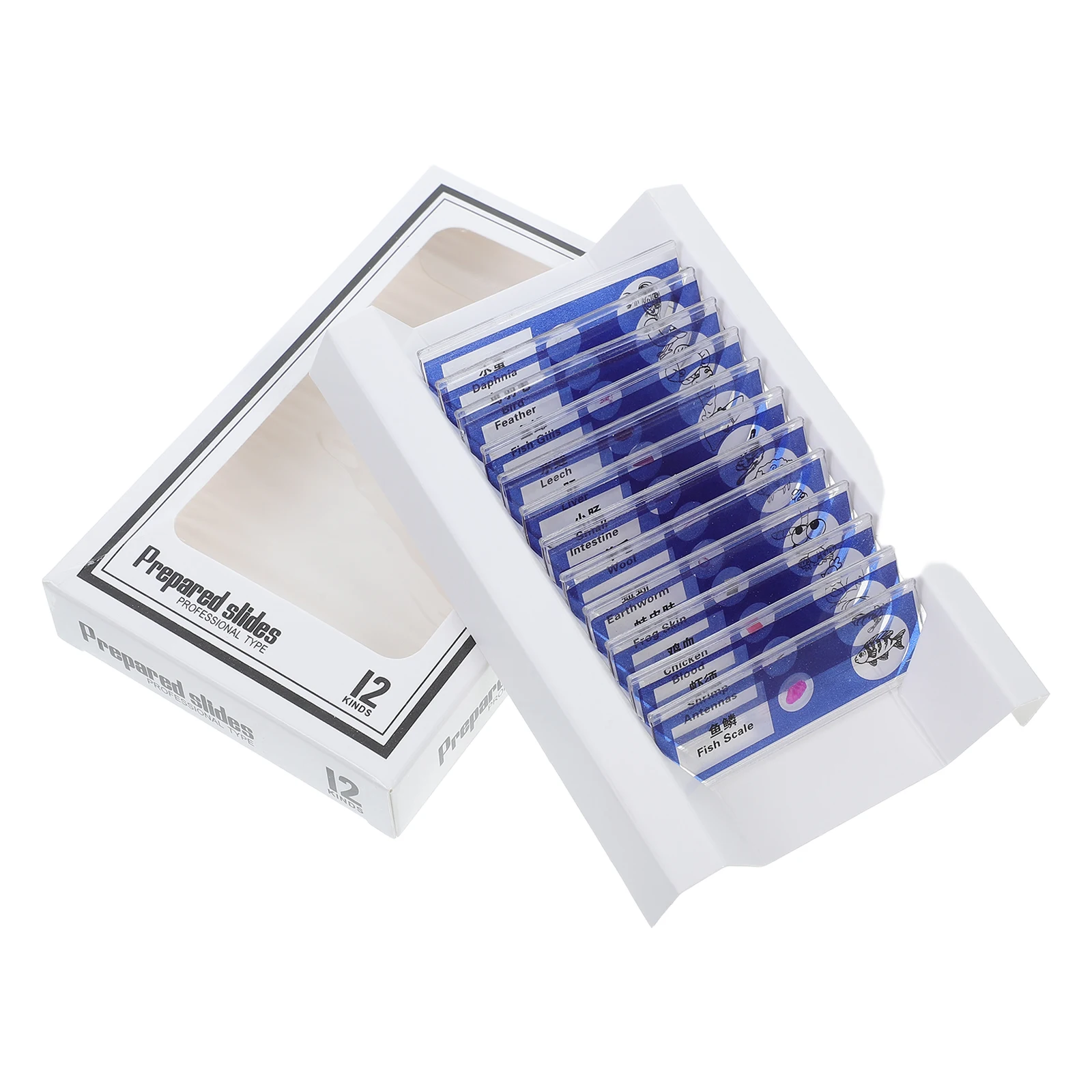

12 Pcs Microscope Biological Sample Sections Prepared Slides Animal Biology Insects Cells Samples Assortment Blue Sampler Child