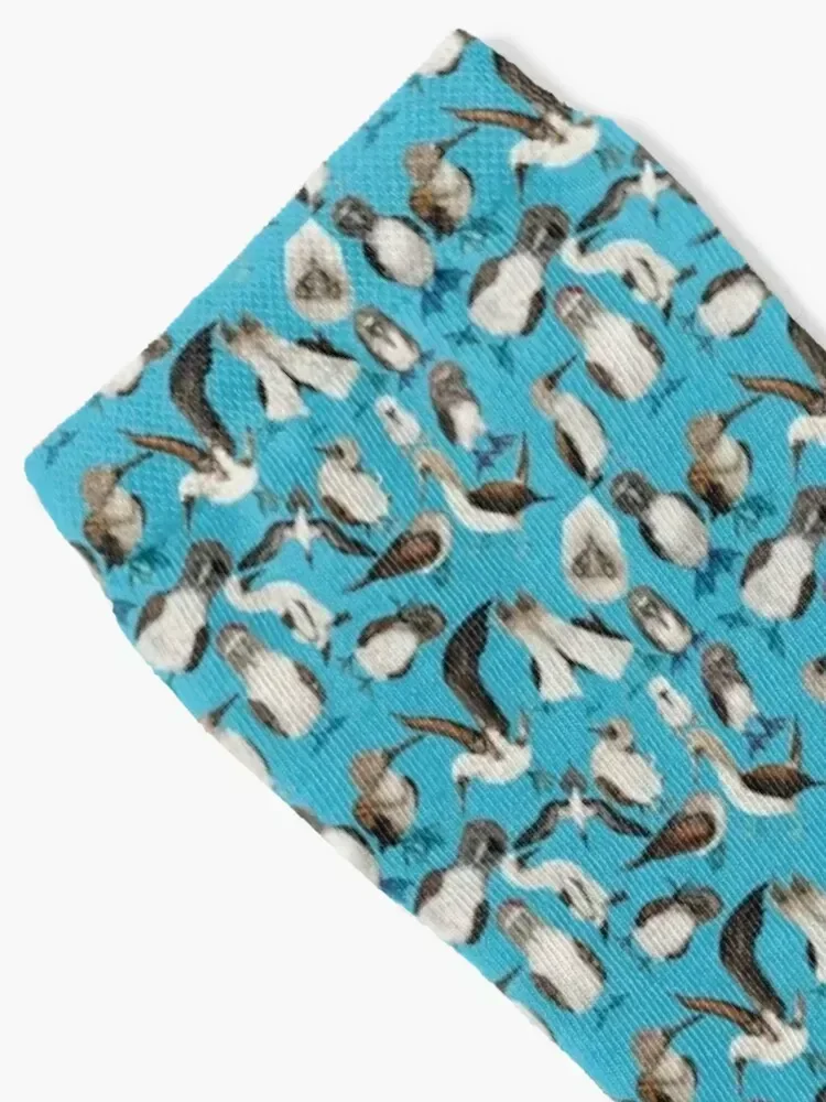 A Flock of Blue Footed Boobies Socks aesthetic japanese fashion Crossfit soccer anti-slip Socks Men's Women's