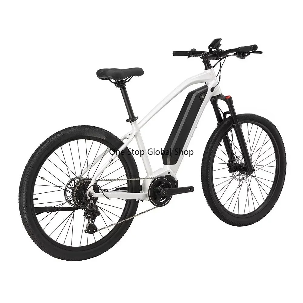 L5 Bike BAFANG M210 Mid-Motor 25 km/h Speed 100km Range 9-Speed Chain 70 N.m Torque 6061 Aluminum