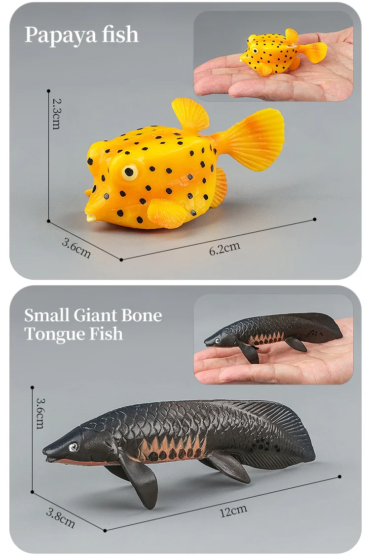 Meeresleben-Tiere-Modell, Actionfiguren-Set – Ozeanfisch, Thunfisch, Segelfisch, Bass, Zacker, Lachs, PVC, Lernspielzeug für Kinder – Detail 15