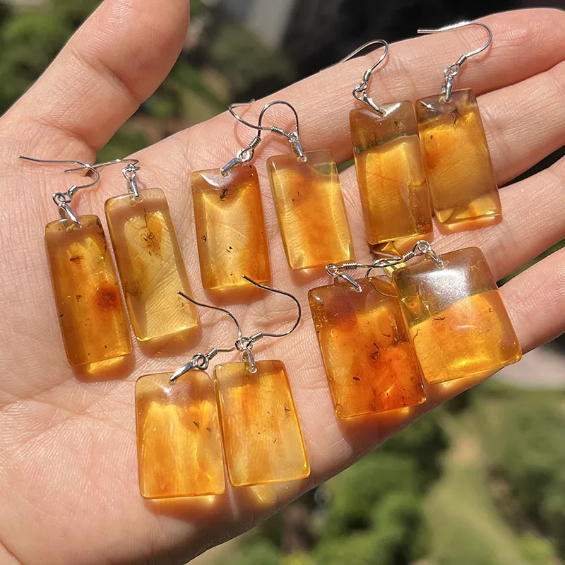 Insect Amber Earrings for Women S925 Silver Unique Drop Ear Gift Baltic Stone 2026 New Genuine Bugs Amber Jewelry Supplier 3