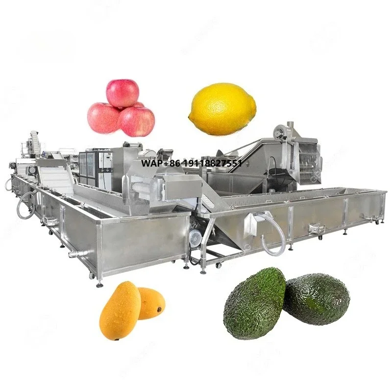 Mango Clean Peel Slice Dry Fruit Cleaning Sorting and Pulping Machine for Cleaning and Cutting Industrial Fruits