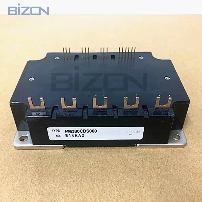 

PM300CBS060 New Original Module