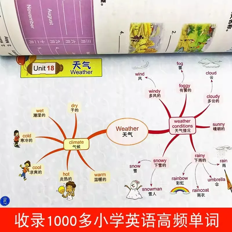 Mind Map, Elementary School English Vocabulary, Grammar, and Fast Memorization of Elementary School English Words
