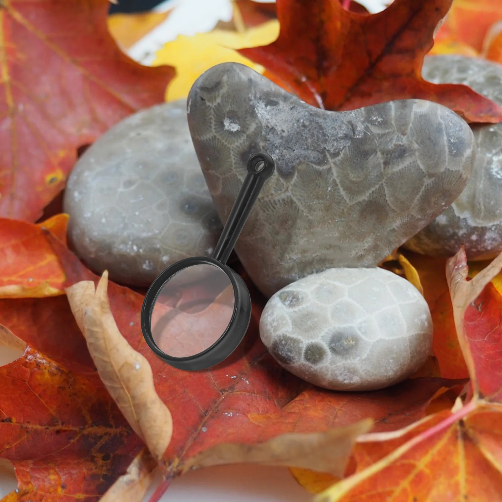 

10Pcs High-Definition Handheld Magnifying Glass for Reading and Coin Inspection Portable Mineral Detection Tool