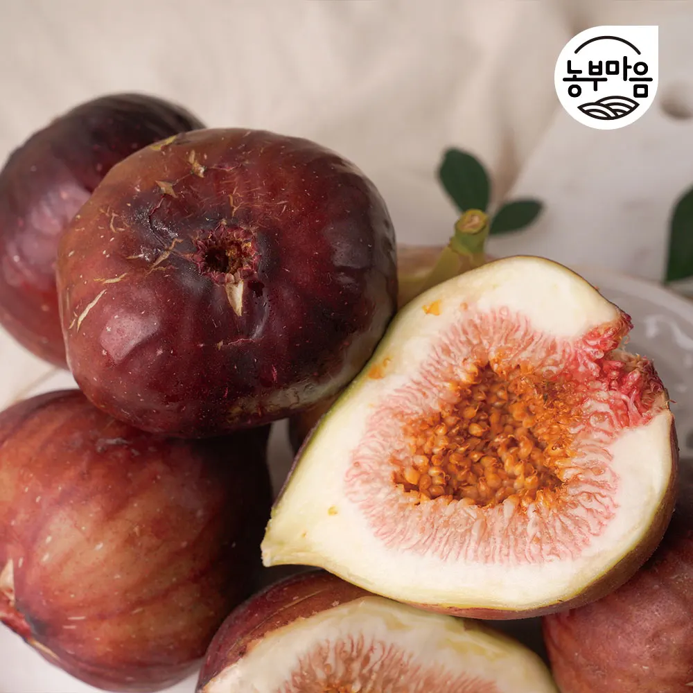 25 años de primer envío Elegance Alpine Hainan Fig 500g 1kg 2kg (caja de hielo + envío de paquete de hielo)