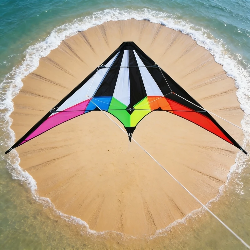 Dual Line Stunt kite beginner outdoor fun nylon fabric kites beach accessories factory kite surf board Adults kites line koi