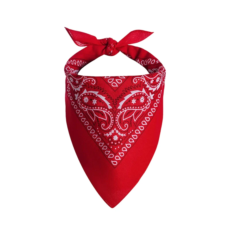 Halloween Cowgirl Costume Accessories Kids Red Braided Wig Cowboy Hat Bandana Toy Gun Cosplay Decorations