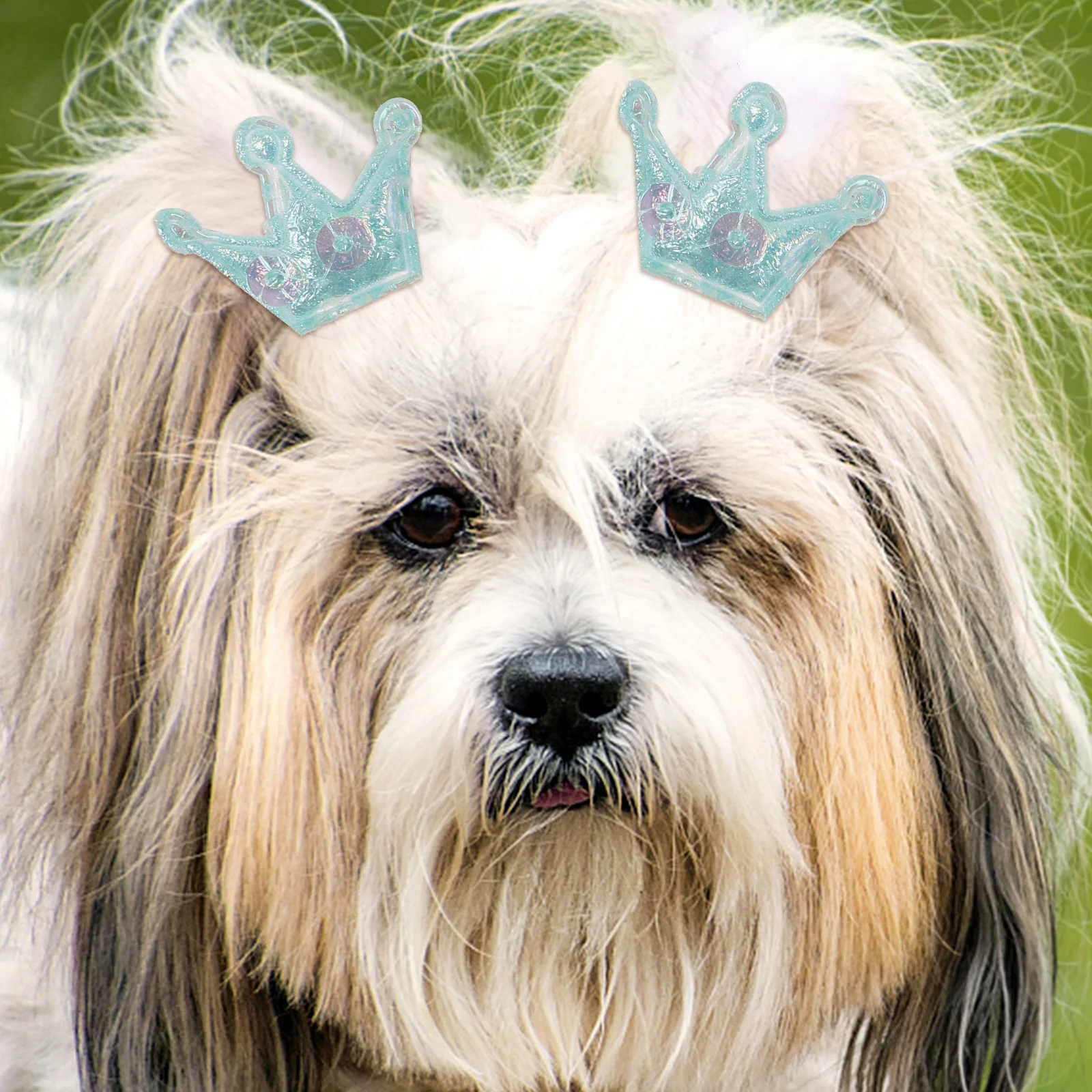 

10pcs Pet Glitter Crown Hair Ties Lightweight Portable For Cats Dogs Small Size Holiday Decor Stylish Puppy Rabbit Accessories