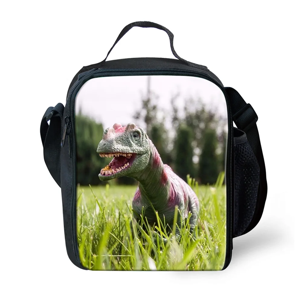 Classic Popular Crossbody dinosaur Lunchbox Thermal insulation Food Lunch Bag 3D Printed Picnic Insulated Handbags Ice Bags