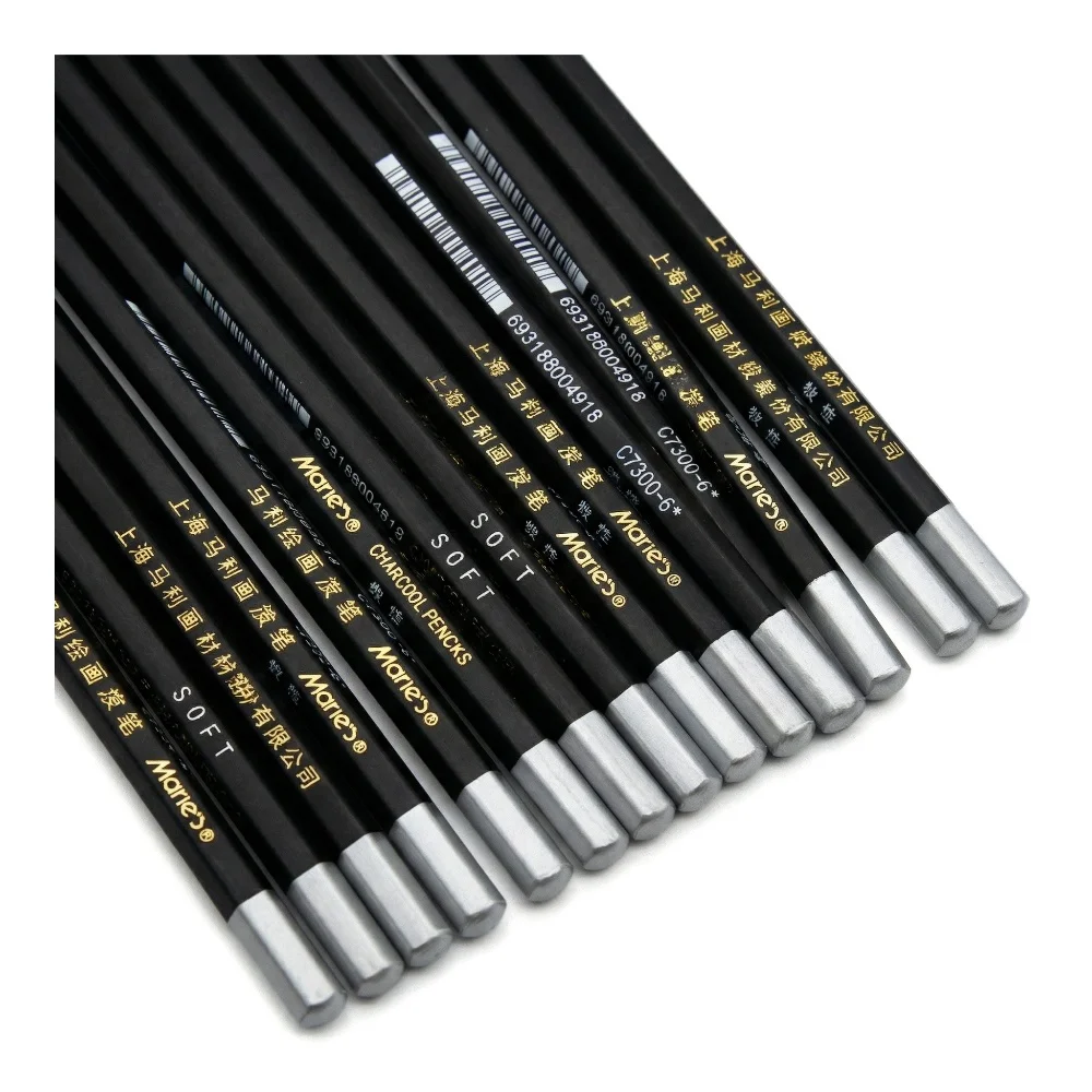 Marie's 12pcs Charcoal Pencils,Extra Soft/Soft/Medium Art Graphite Pencils Set for Drawing,Sketching,Shading,forArtists,Adults
