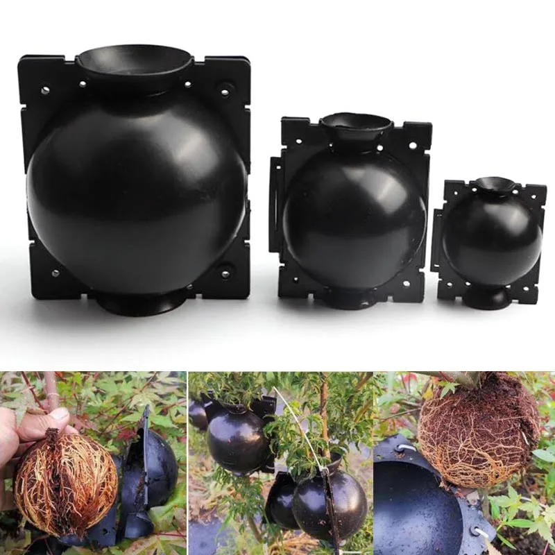 5cm 8cm Plant Rooting Ball Case Fruit Tree Root Box Planter Cases Grafting Rooting Growing Breeding For Garden Tools Supplies