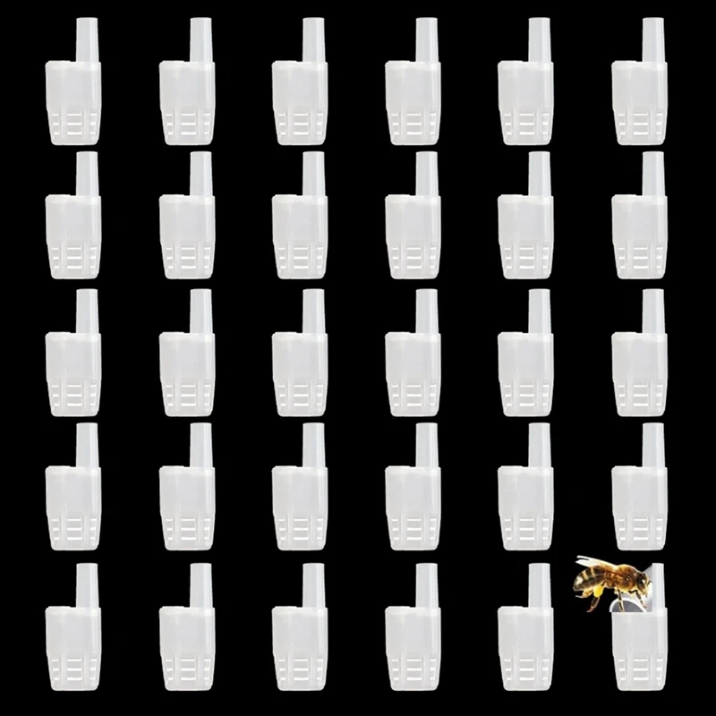 Équation de reine en plastique pour apiculteur, pince d'isolation, outils d'élevage, adapté à une utilisation intérieure et extérieure, nouveau