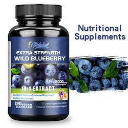 Wild Blueberry - Promotes Brain Health and Cognitive Function, Improves Memory, Antioxidant