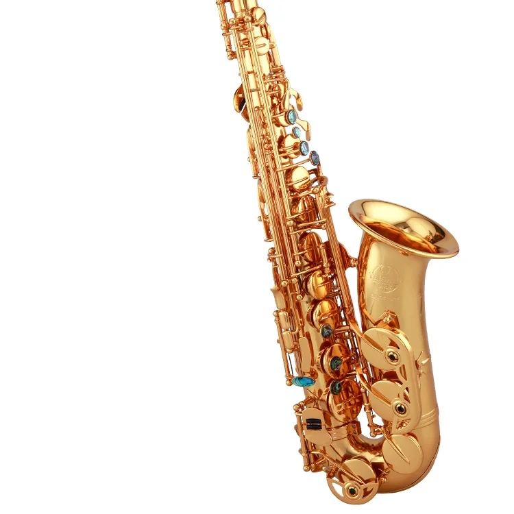 Professional USA Ryton Alto Saxophone Gold Sax