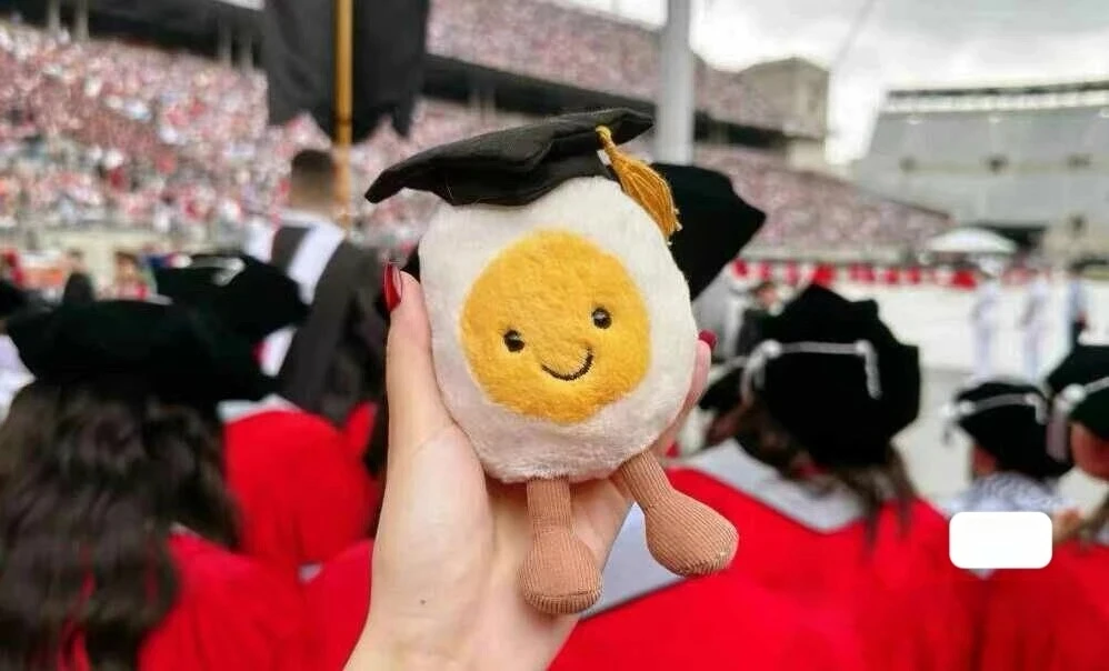 

2025 Hot Selling Fun Graduation Season Doctoral Boiled Egg Gift Essential Cute Doll Gift Toy For Friends And Classmates