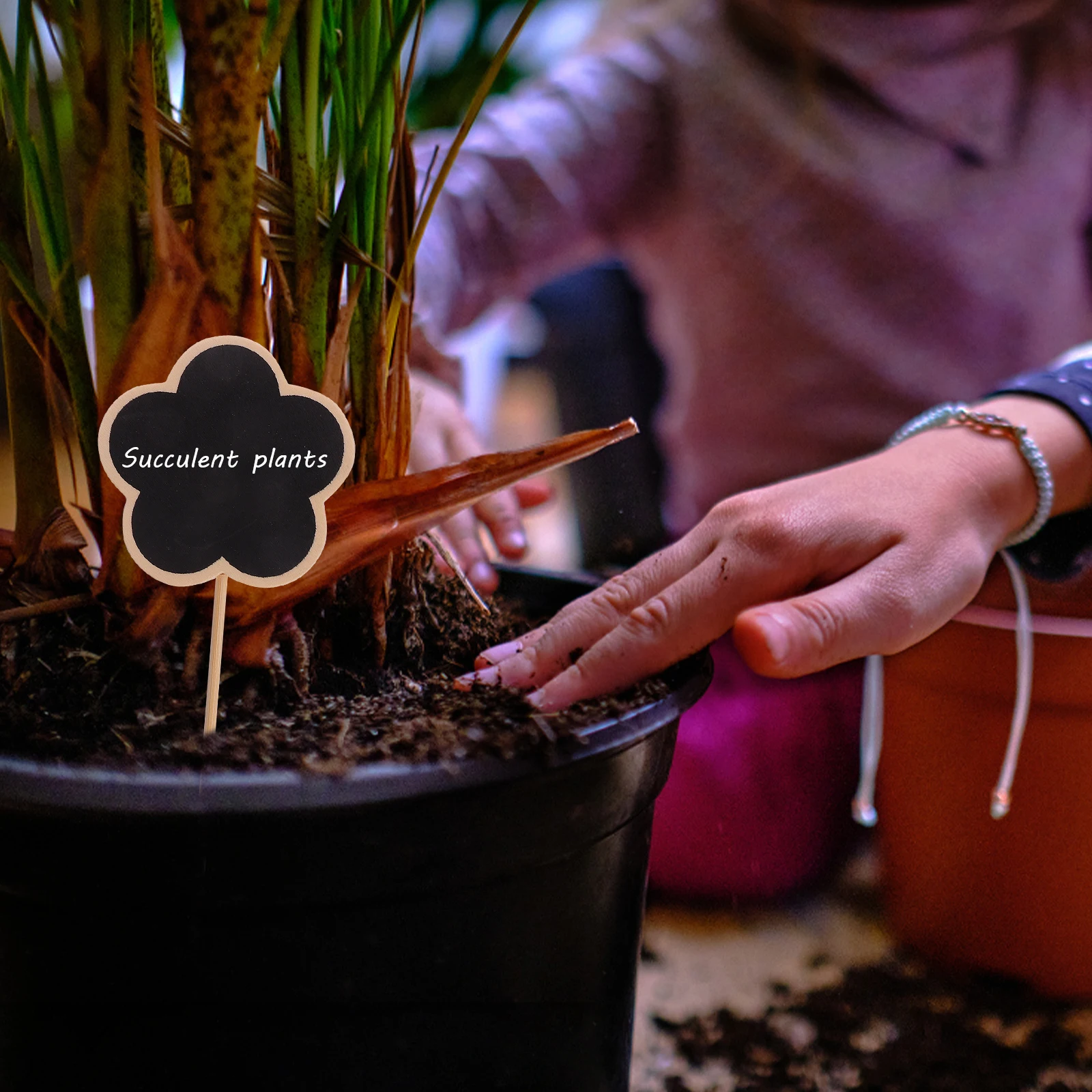 

20pcs Wooden Chalkboard Plant Label Marker Flower Identification Stake Potted Plants Tags Garden Succulent Name Signs