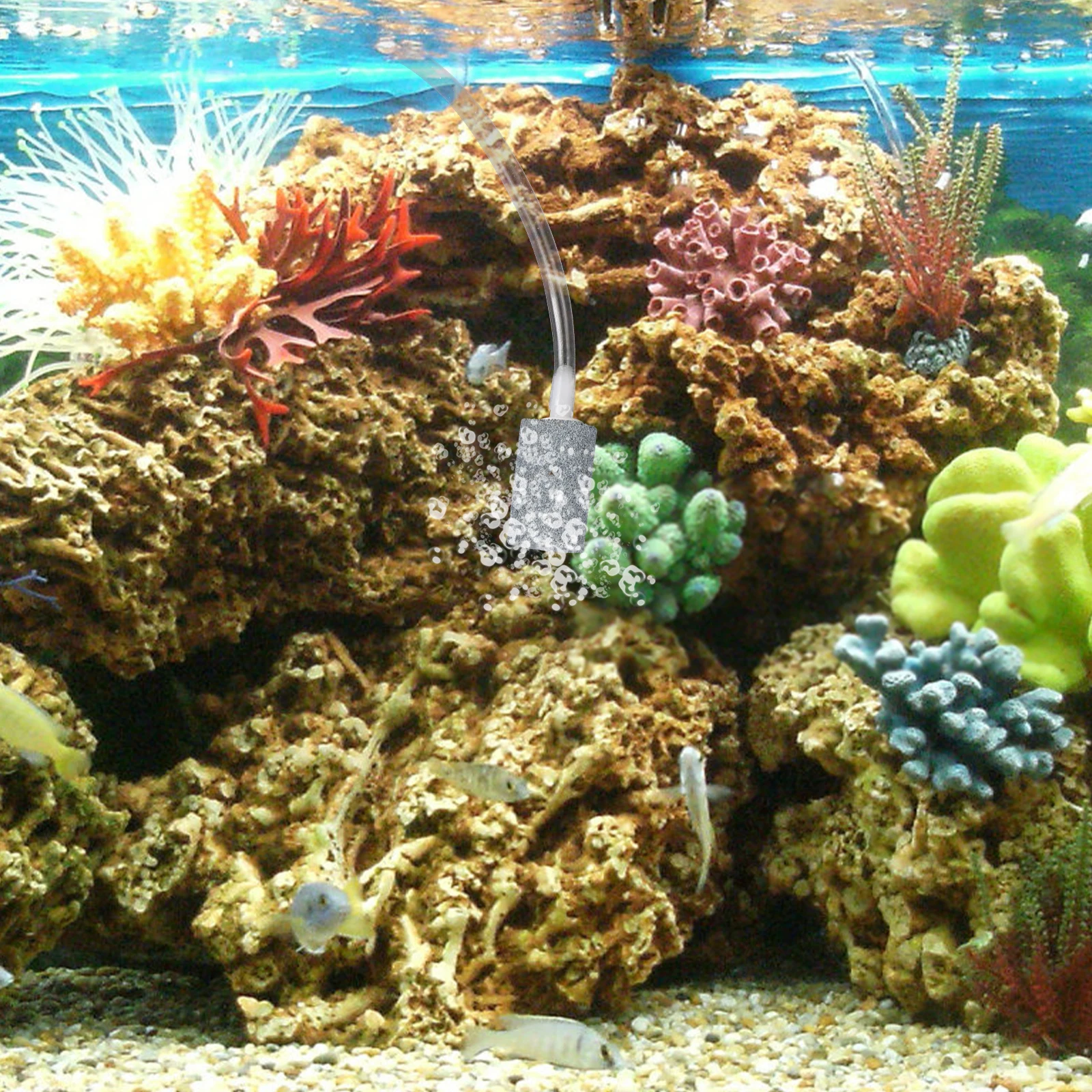 

Portable Fish Tank Air Pump USB Oxygen Bubbler Small Quiet Aquarium Bubbler for Bedroom Office ABS Plastic Black
