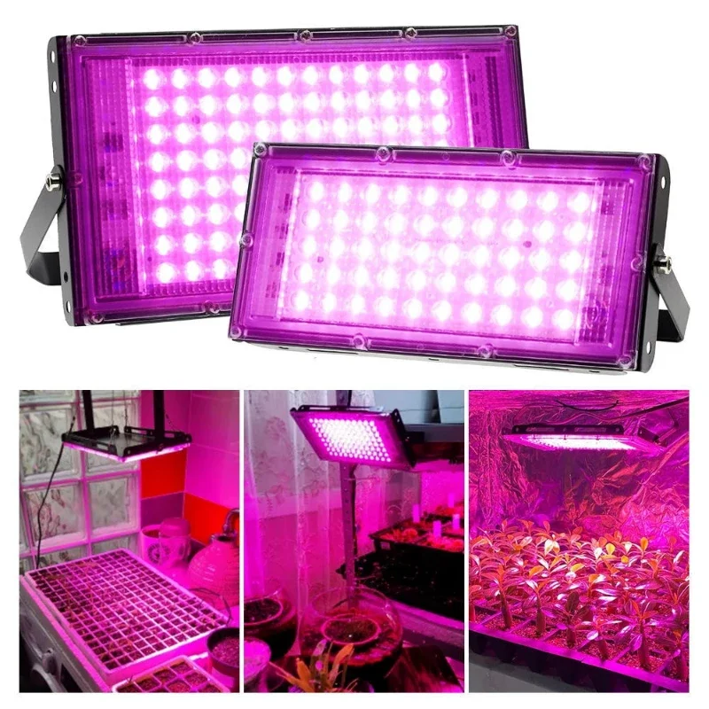 Full Spectrum LED Grow Light Phyto Lamp AC 220V 50W 100W 200W 300W With EU Plug For Greenhouse Hydroponic Plant Growth Lighting