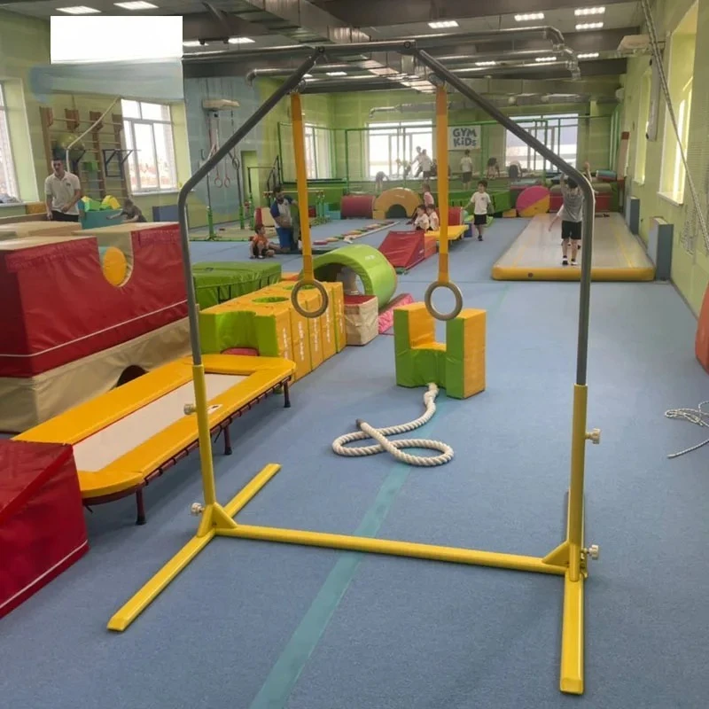 

Customized Gymnastics Equipment Gymnastics Rings - Kids Bars
