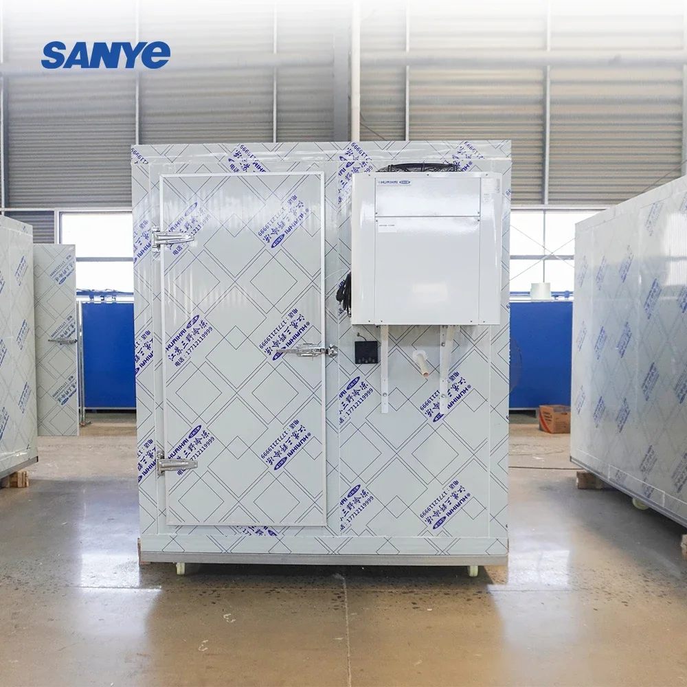 Supply Cold Room Storage Ice Box Cold Room -18 Degree Condensing Unit Coldroom