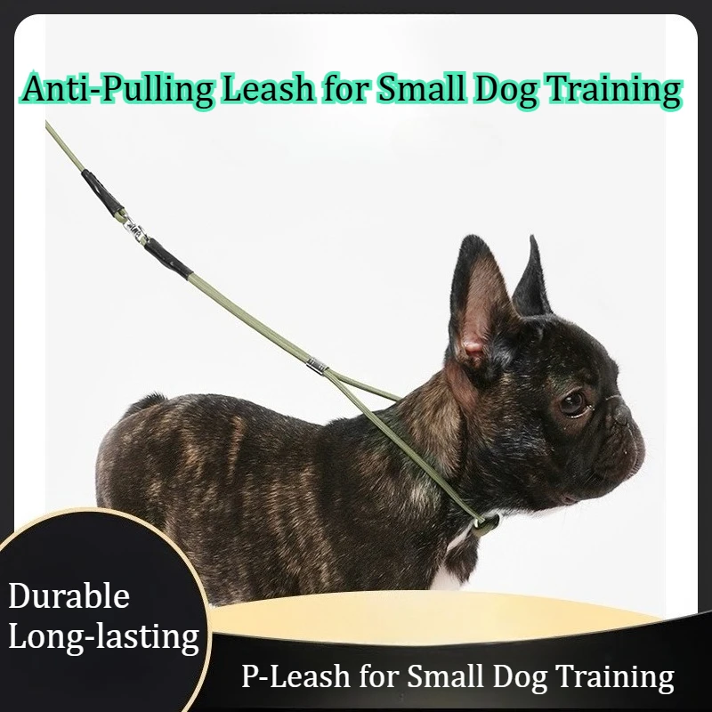 Anti-Pull Leash Compact All-in-One Leash for Small Dogs Training Leash for Dog Competition Dog Pinch Collars Pet