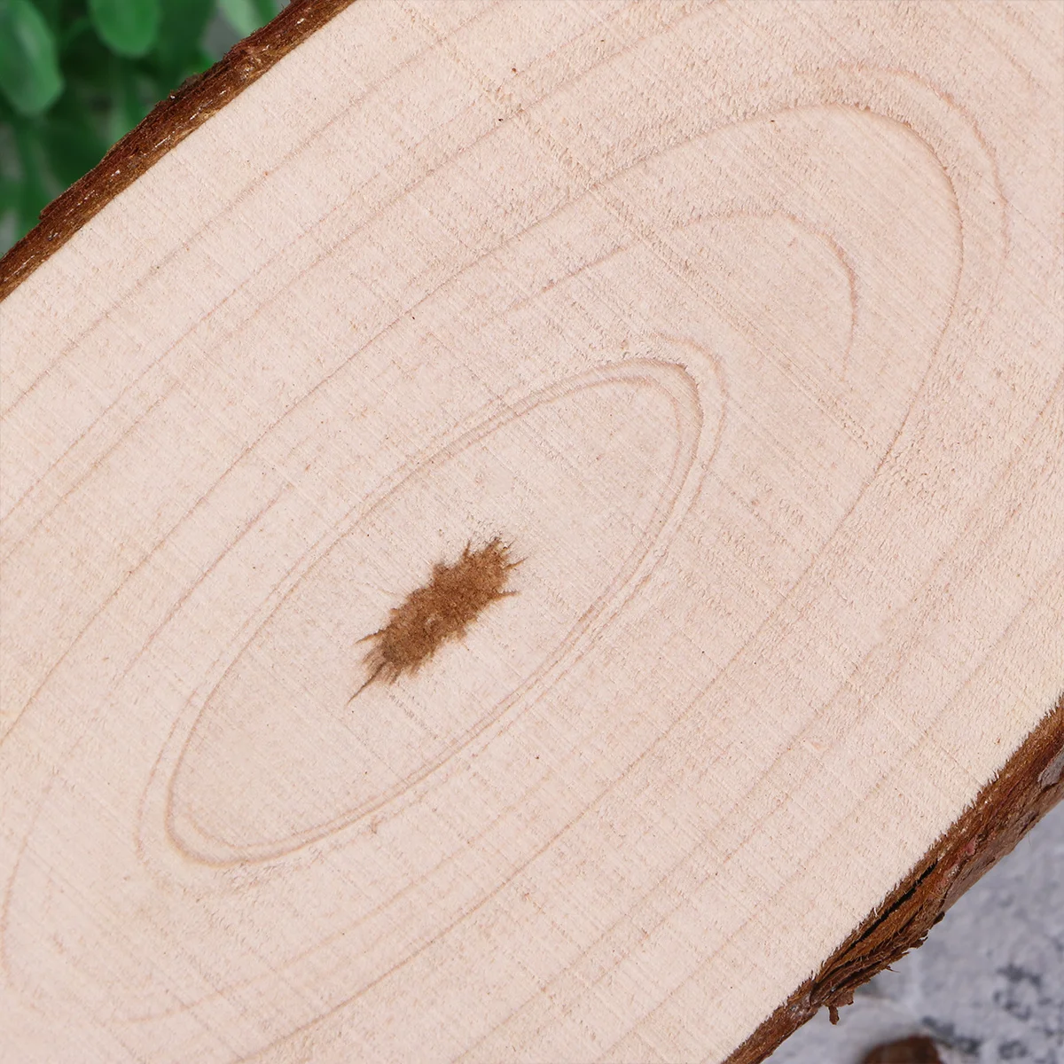 

3Pcs Decorative Solid Wood Slices Fine Polished DIY Craft Boards for Wall Windows Porch Christmas Trees 12In Wood Painting Board