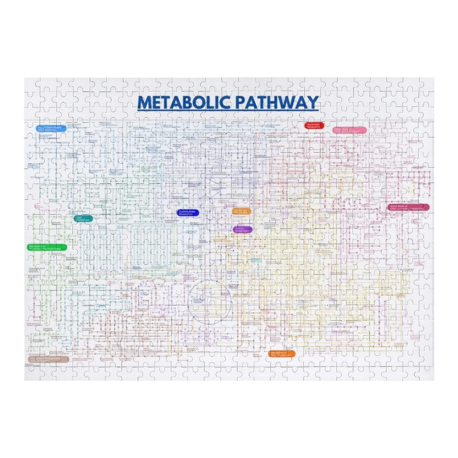 Mappa del percorso metabolico Jigsaw Puzzle Personalizza Personalizza Puzzle per bambini
