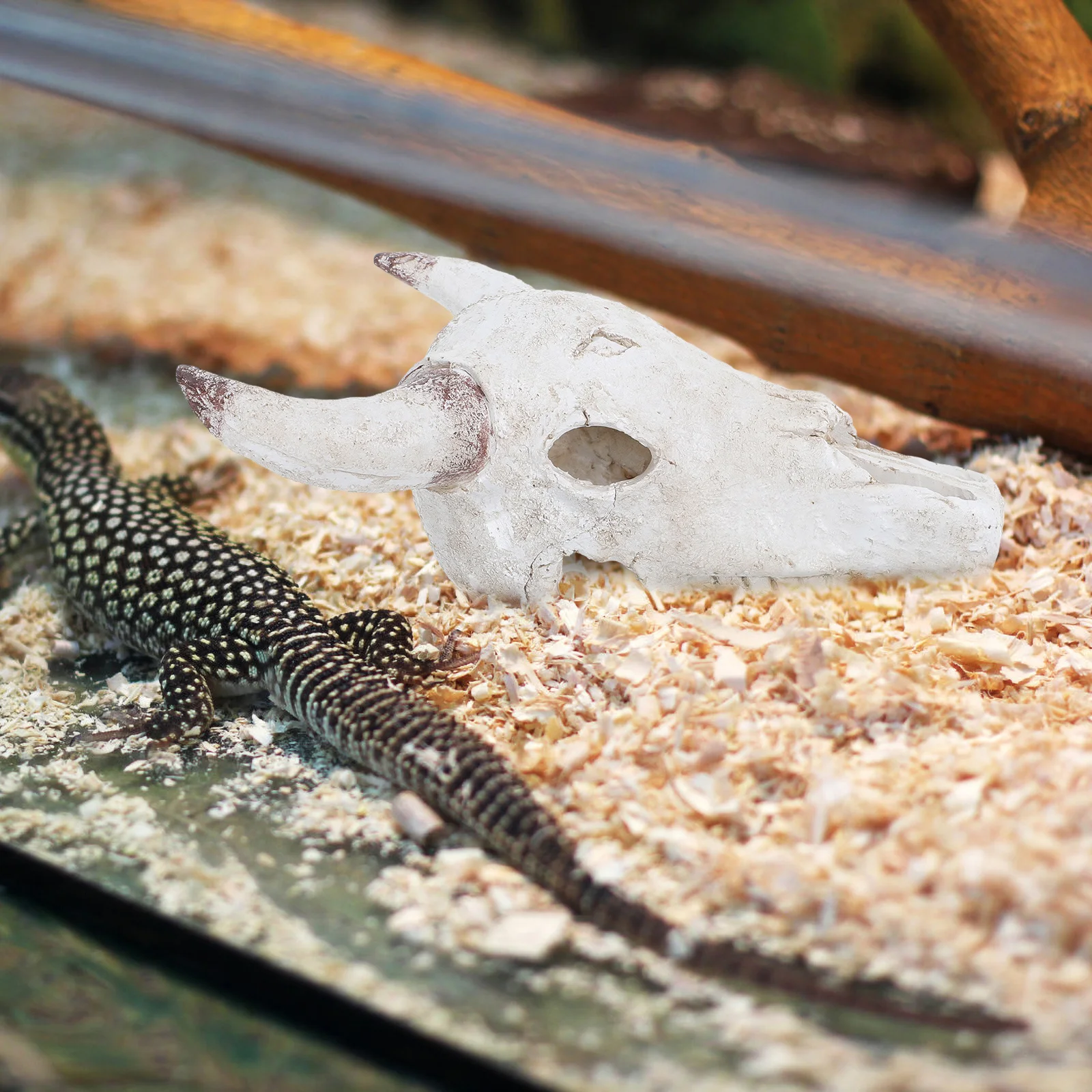 

Rhino Skull Reptile Tank Decoration Resin Desert Aquarium Fish Turtle Hideout Cave Reptile Habitat Ornaments Bull Skulls Head