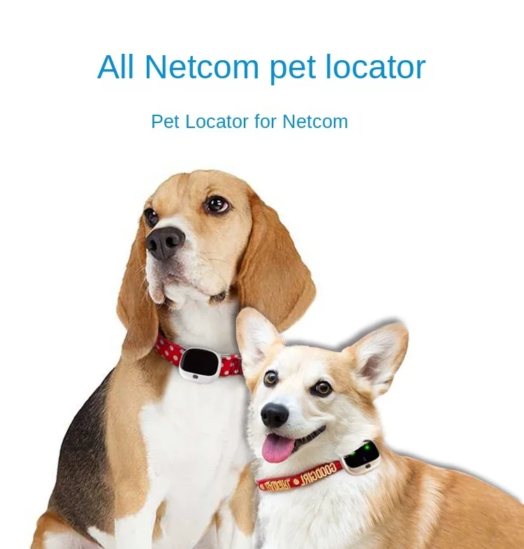 4G GPS Trackers Dog locator pet gps collar dog anti-lost tracking artifact cat waterproof tracking booking instrument