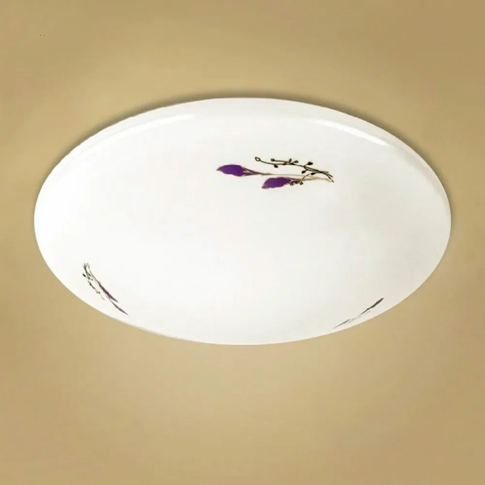 LED Simple Ceiling Light Panel Round Lamp Fixture Cold White Living Room Balcony Bathroom Hall Surface Mount Flush Lighting