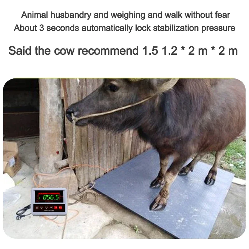 1x1M 3 Tons Industrial Digital Scale Commercial Electronic Weighing High Precision Weighbridge For Livestock Weighing Anti Shake