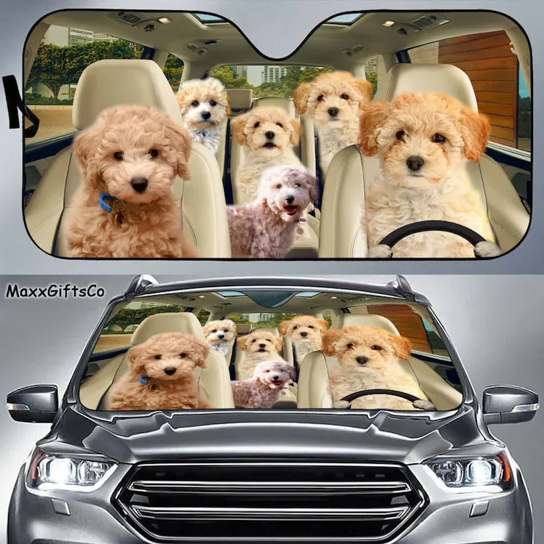 Poochon Car Sun Shade, Poochon Windshield, Family Dogs Auto Sunshade, Dogs Car Accessories, Irish Terrier Lovers Gifts