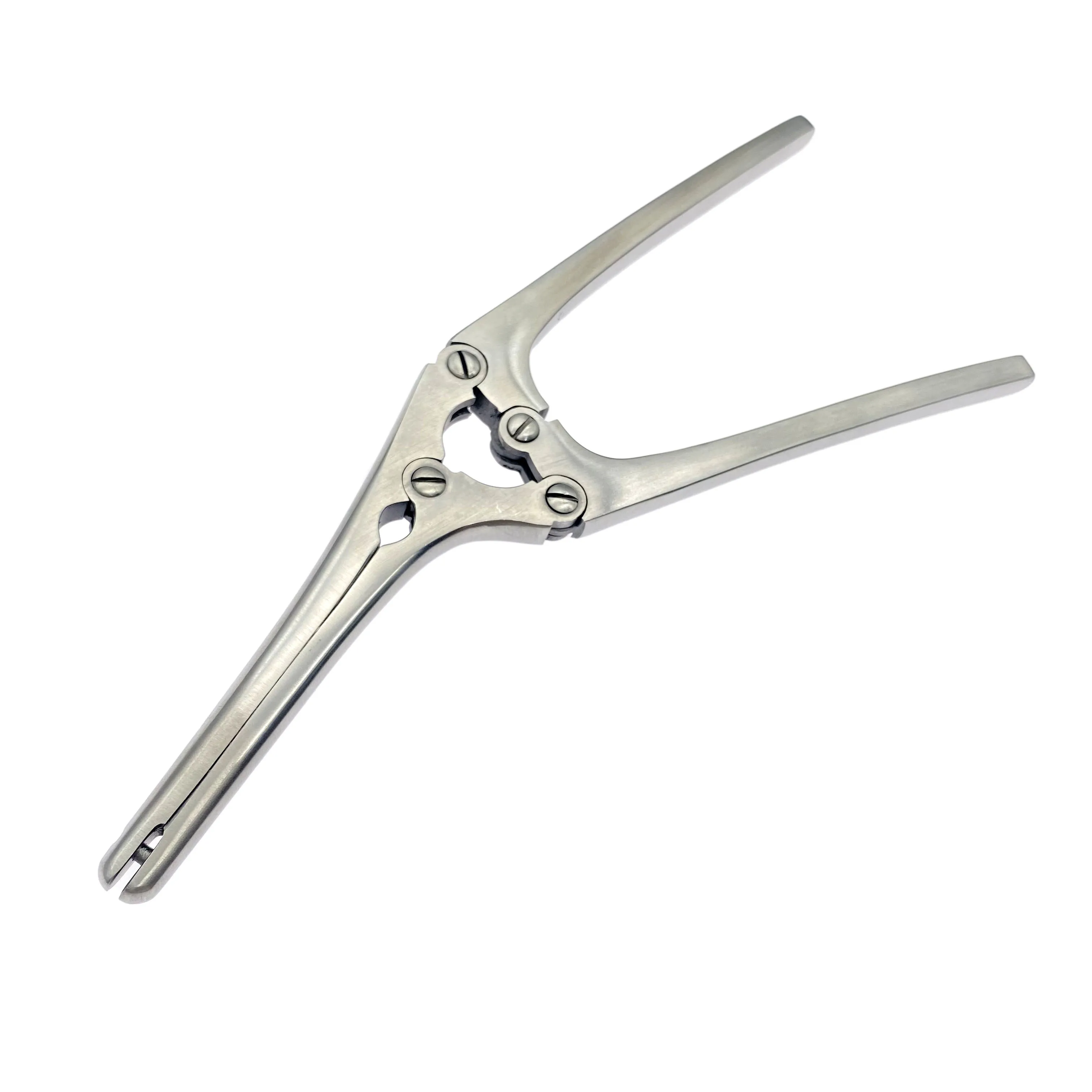 

Stomach Forceps Stomach Clamp Stainless Steel Surgical Instruments