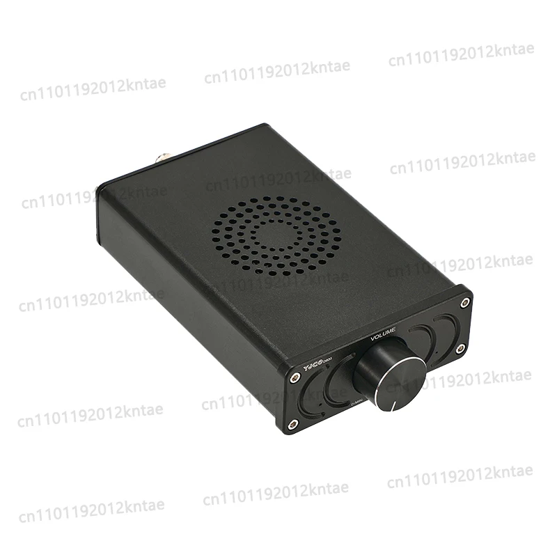 D600 TPA3255 Mono 600W High Power HIFI Audiophile Amplifier Home Digital Audio Amplifier