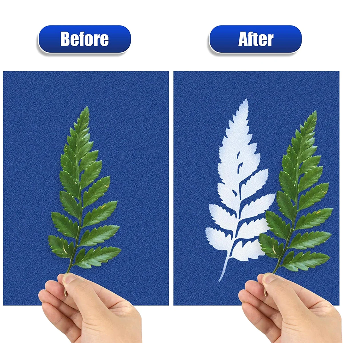 80/24pc Cyanotype Paper Silhouette Painting Nature Printed Paper for Kid Craft Class DIY Art Crafts Sun Print Paper Easy Drawing