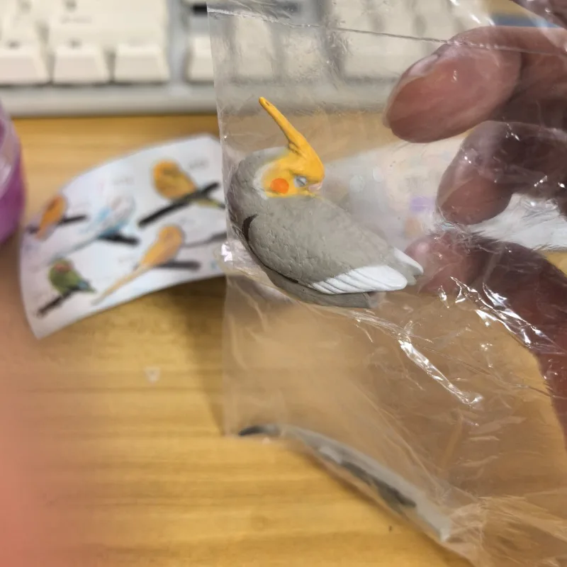 SHINE-G Japan Gashapon Figure Cute Kawaii Goodnight Parrot Bird Miniature Figurine Anime Gachapon Capsule Toys Desktop Decor