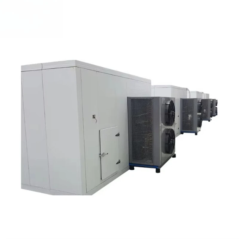 Fish Food Dryer Chilli Drying Machine Commercial Dehydrator Equipment High Capacity Custom