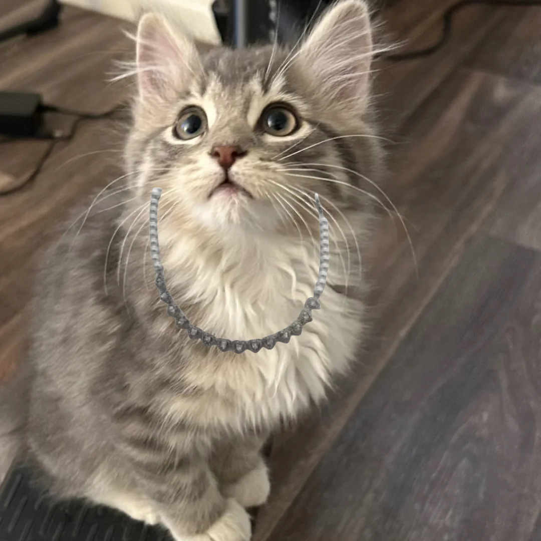 Nueva marca de superventas, collar de plata Ariana Grande para mujer, conjunto de regalo de joyería de gato de lujo romántico