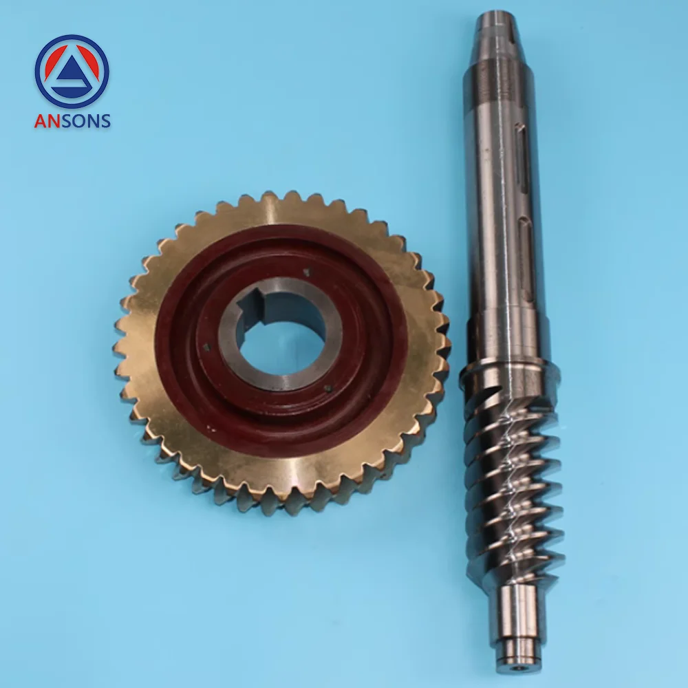 

13VTR 160VAT OTIS Elevator Worm Gear Main Traction Machine Ansons Elevator Spare Parts