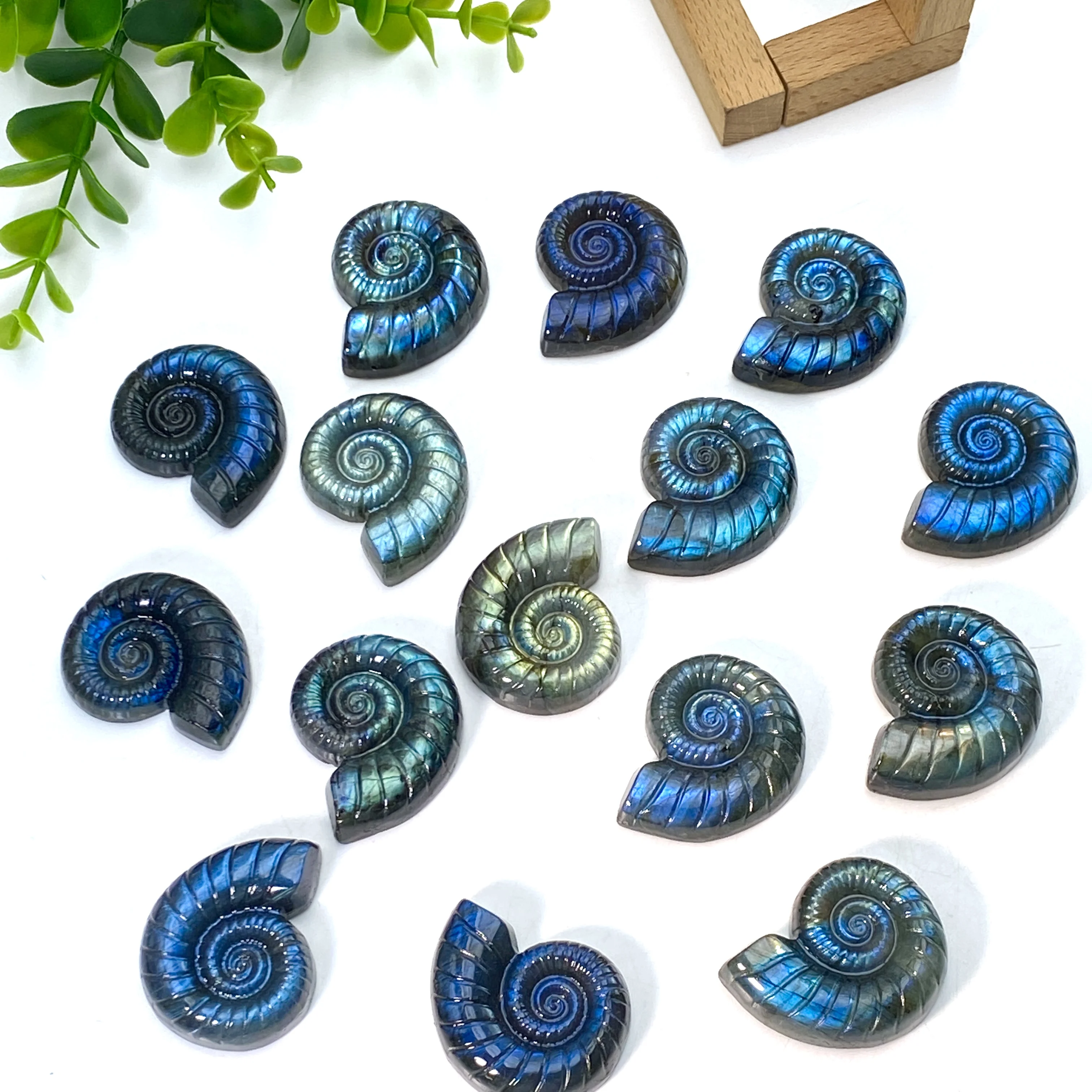 1 قطعة اللابرادوريت الطبيعي الأمونيت نحت رائع سر تحويل مبهرج الريكي كريستال التأمل أحجار استشفاء ديكور المنزل #4