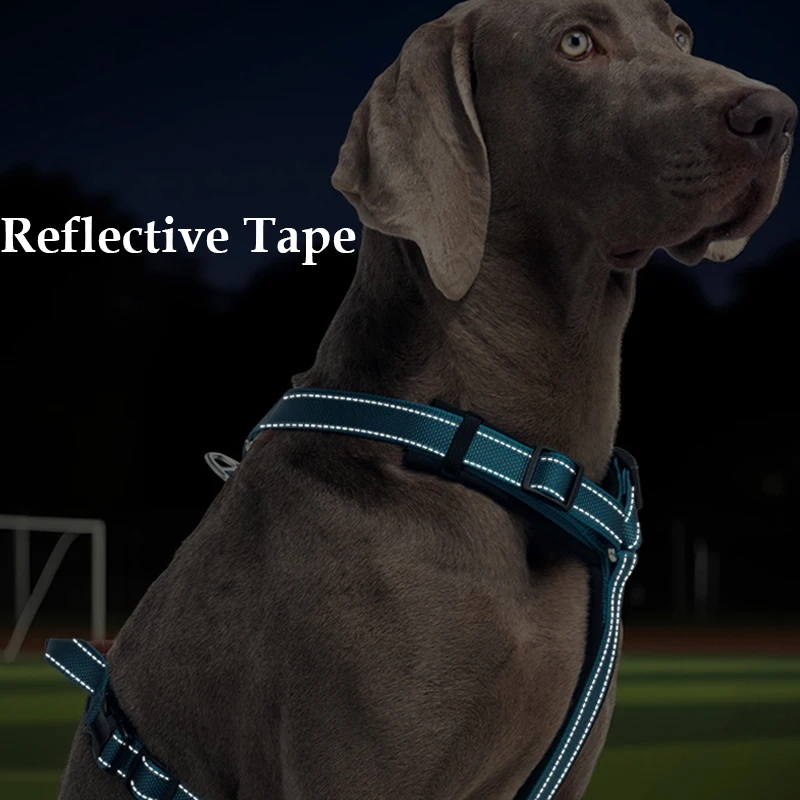 

Dog Harnesses Leash Vest Strap With Refletive Strap Pet Chest Pet Dog Training Harness for Medium and Large Dogs Explosion Proof
