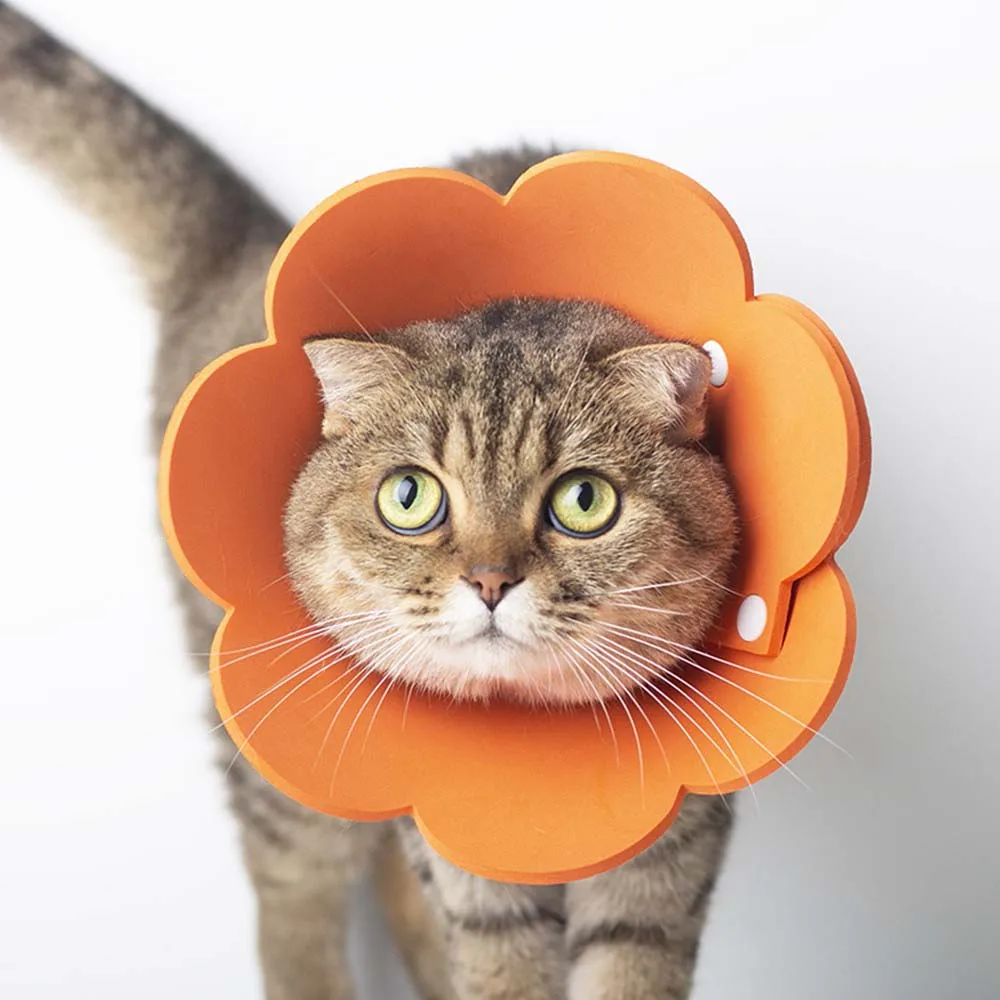 Cute Pet Protective Collars for Dogs Cats Wound Healing Protection Dog Cat Collars Anti-Bite Neck Cone Recovery Circle