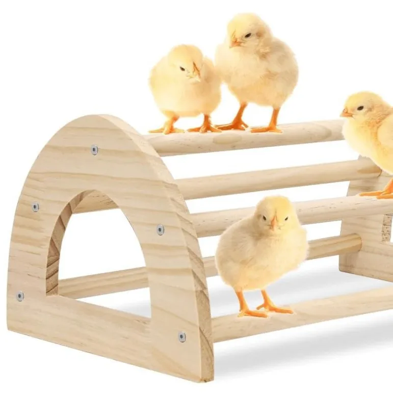 

Wooden Parrot Perch Bird Stand | Training Toy for Pet Chickens Roosters Hens Chicks | Comfortable Bird Perch Supplies