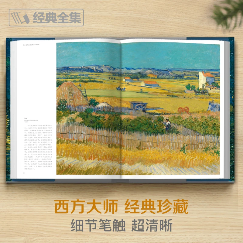 Livre de Peinture à l'Huile de Vincent Van Gogh, Grand Album, ApprentiCumbria des Documents, Collection d'Art Paysager, Technique de Peinture