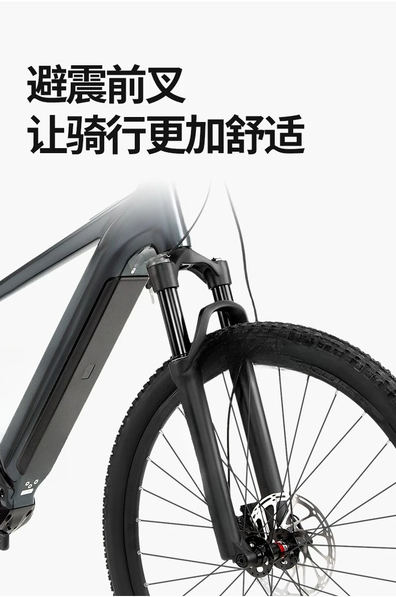

Electric bicycle, lithium electric mountain bike, aluminum alloy bike