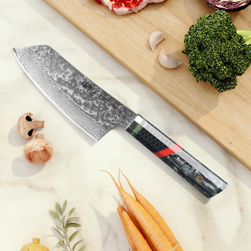 FINDKING 5.6 Inch Slicing Knife Resin Handle 67 Layers Damascus Steel 9Cr18MoV Blade Sharp Chefs Cleaver Japanese Kitchen Knives