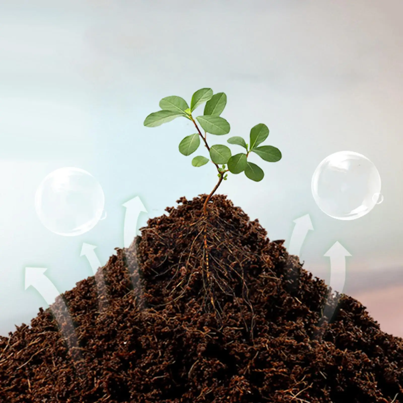 5x Coconut Soil Portable Lightweight Absorbent Planting Growth Soil for Farm