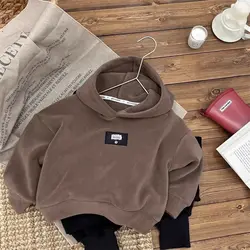 Children Boys Fleece Thick Hoodies Cotton Sticker Long Sleeve Infant Baby Boys Pullovers Loose Warm Toddler Kid Boys Sweatshirts