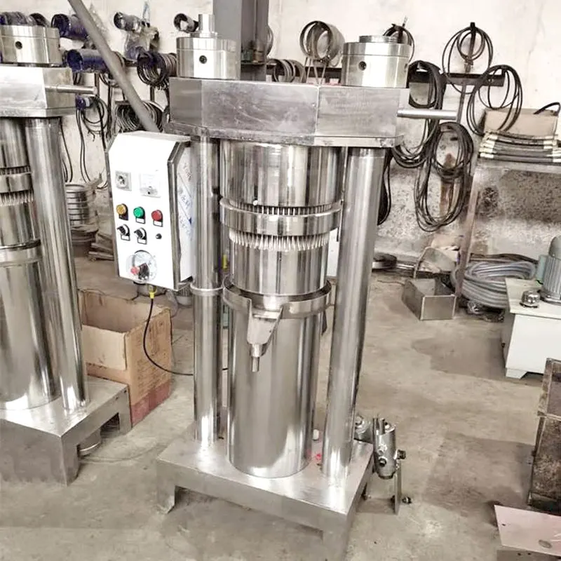 Red Palm Pine Nut Okra Seed Oil Press Machine Peanut Oil Press Line Exaction Machine Production Cold Press Oil Machine Hydraulic